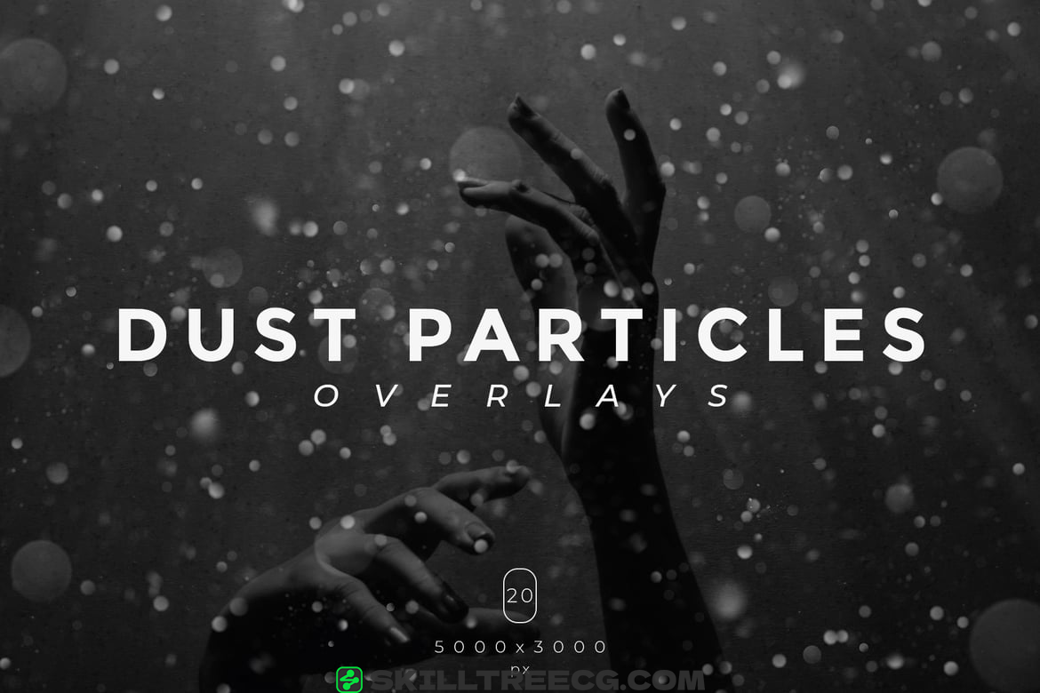 20 Dust Particles Overlays（041075）-技能树